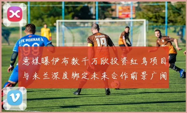 意媒曝伊布数千万欧投资红鸟项目与米兰深度绑定未来合作前景广阔